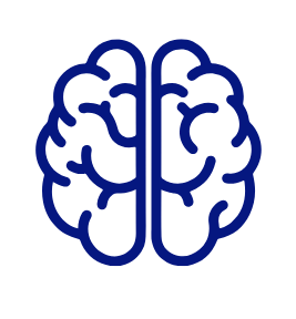 brain